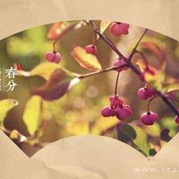 幼儿园表演观后感细选