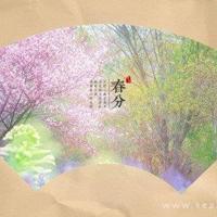 沙漠之花观后感英文合计