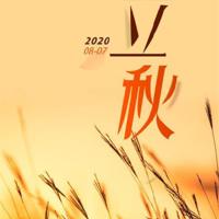 我变成一只虫子读后感细选