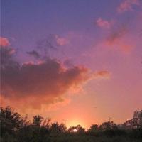 改变-从阅读开始读后感精练