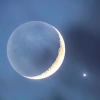 薛宝钗读后感200字合集