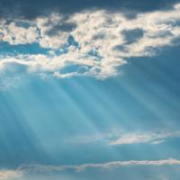 人间世第六季观后感汇集