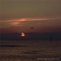 禁毒基础知识观后感汇编