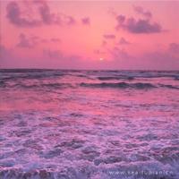 梦海的公主读后感细选