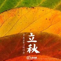 芳华苗苗独舞观后感汇聚