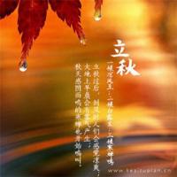 隐蔽角落的春天观后感精练