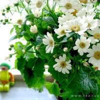 技能节读后感800字合计