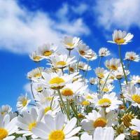 机器人简史观后感集锦