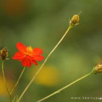 童话故事读后感灰姑娘汇编