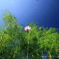 公主与魔书的读后感汇总