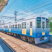 给我的孩子读后感海桑精练