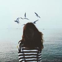 两条腿读后感200字聚集