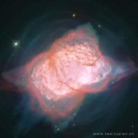 我的兄弟姐妹观后感汇合