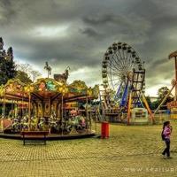 少年派观后感简短整理