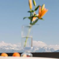 人类星球沙漠读后感合计