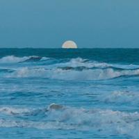 飞天梦读后感二百字汇聚