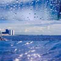 肚子里闹钟绘本读后感锦集