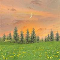 泰康保险微培训观后感汇合