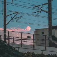 回忆我的母亲观后感50字选录