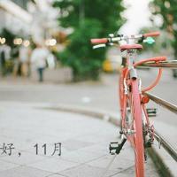 舞蹈风荷雨笠观后感汇集