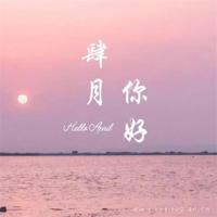 观后感和随笔一样吗汇聚