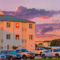 昆虫记蝉和蝉洞的读后感聚集