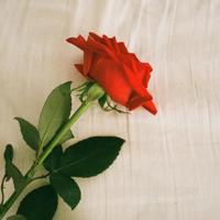 沂蒙电视连续剧的观后感汇编