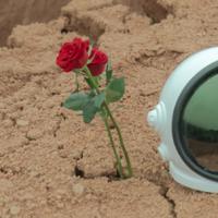 德育馆观后感300字汇合