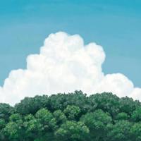 太阳的奇观观后感总汇