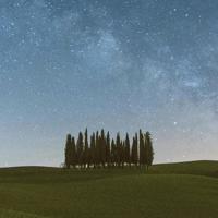 景阳冈观后感一百字聚集