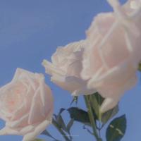 国防教育高中观后感聚集