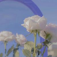 古琴演奏会观后感细选