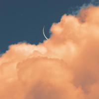 知乎重逢观后感350字集锦