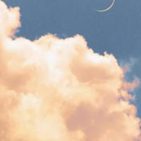 亲亲土豆读后感500汇合