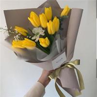 江西卫视真是想不到观后感精选