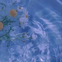 人间世观后感400字汇编