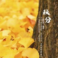 创意生态园的观后感汇合