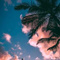 袜子上有洞读后感汇编