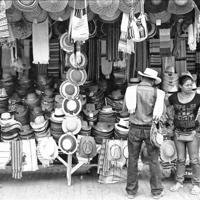 班主任节的观后感精选