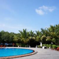 芳华观后感500字左右汇总