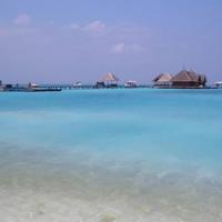 高铁乘务员一天的观后感聚集