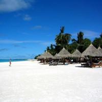 半饱居士陈廷敬读后感精练