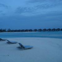 玩具柜台前的孩子读后感整理