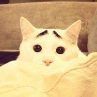 自律与自觉的读后感汇合