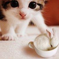 朗读者观后感姚晨合计