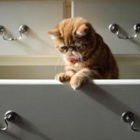 国博近代史观后感一篇选录