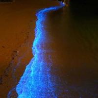 飞向太空的航程读后感集合