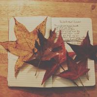 风雨读后感六百字精选