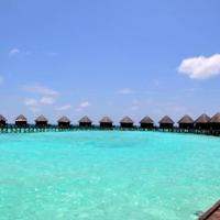 东纵纪念馆观后感100篇集合