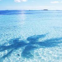 《二年级的小辣椒》读后感选录